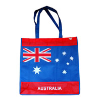 泰安KB50广告无纺布袋