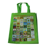 泰安LB11覆膜无纺布广告袋