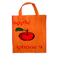 泰安KB16 无纺布袋